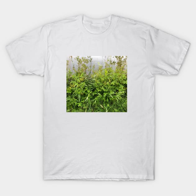 Grass & environment T-Shirt by Elena Akopian